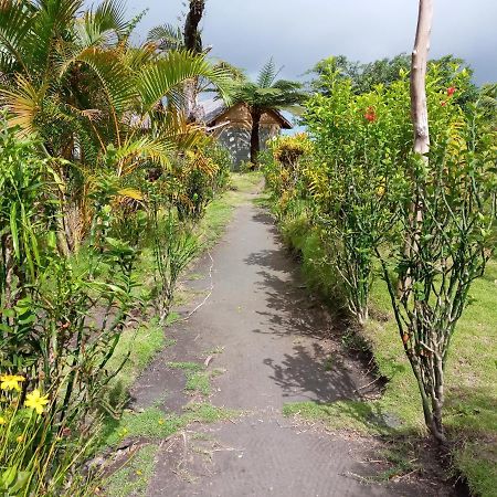 Yasur View Bungalows Loanengo Eksteriør billede